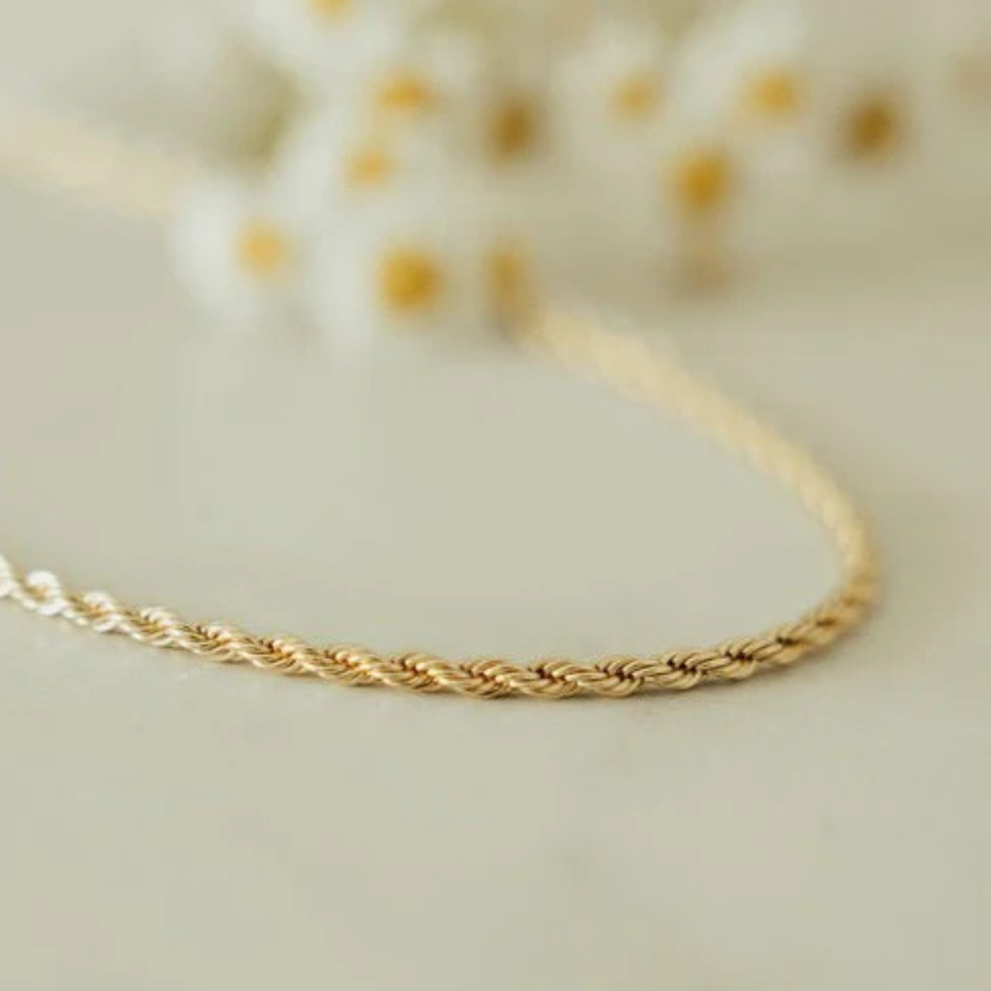 Naomi Gold Filled Rope Necklace