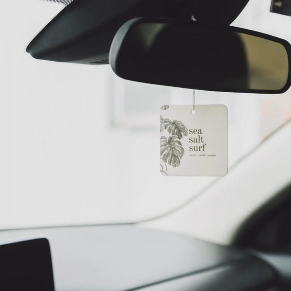 Car Fresheners Curio Collective car-fresheners-curio-collective