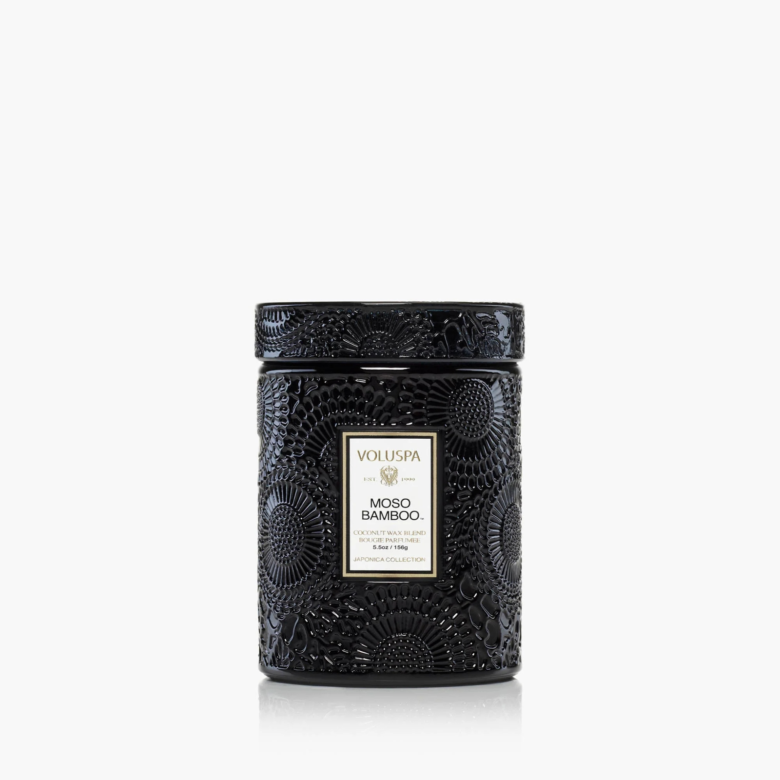 Moso Bamboo - Small
