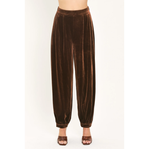 Velvet Cocoa Brown Tailored Pants