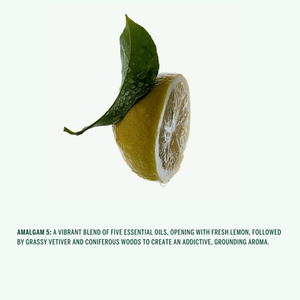 Corpus Body Butter