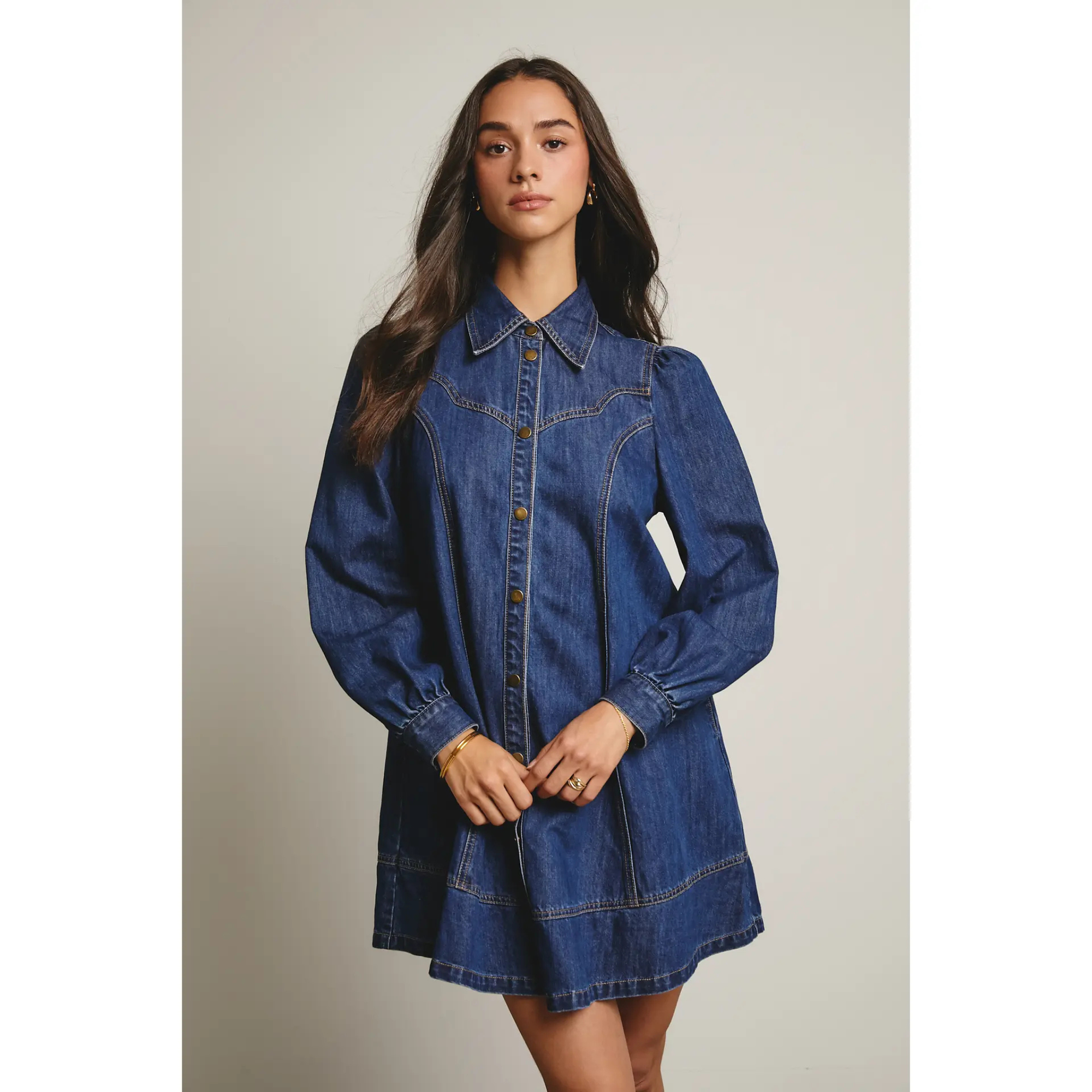 Denim Button Down Flare Dress