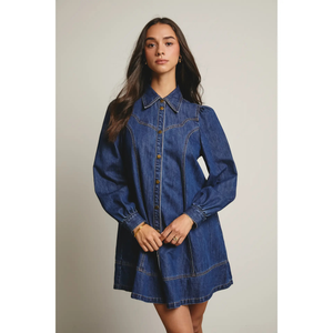 Denim Button Down Flare Dress