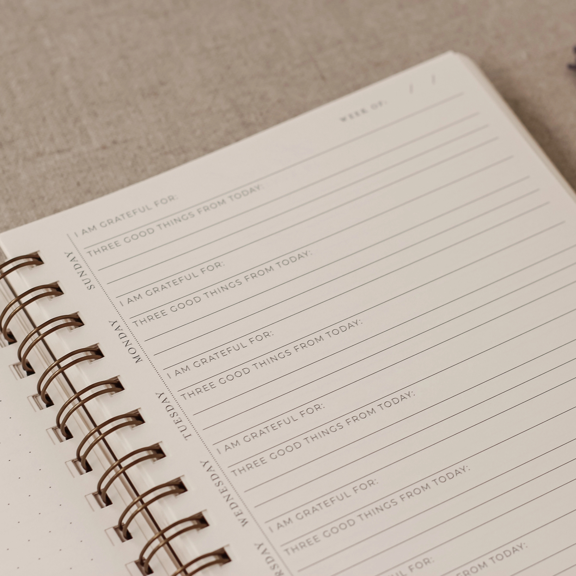 Surround Yourself with Happiness Journal