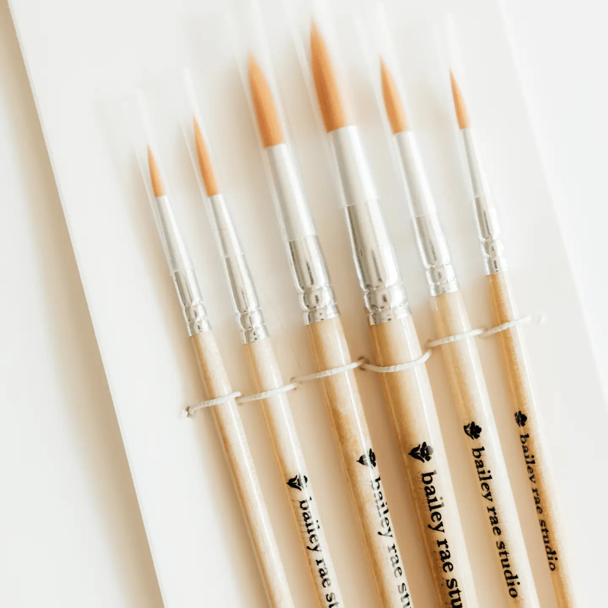 Round Tip Watercolor Brush Set - 6 Piece