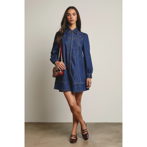 Denim Button Down Flare Dress