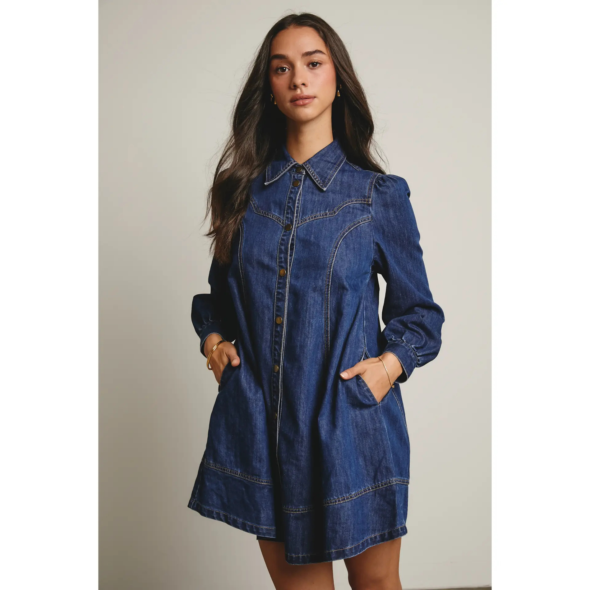 Denim Button Down Flare Dress