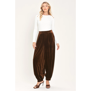 Velvet Cocoa Brown Tailored Pants