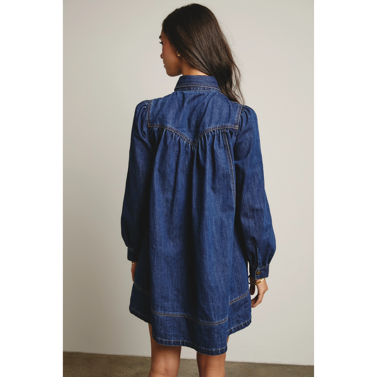 Denim Button Down Flare Dress