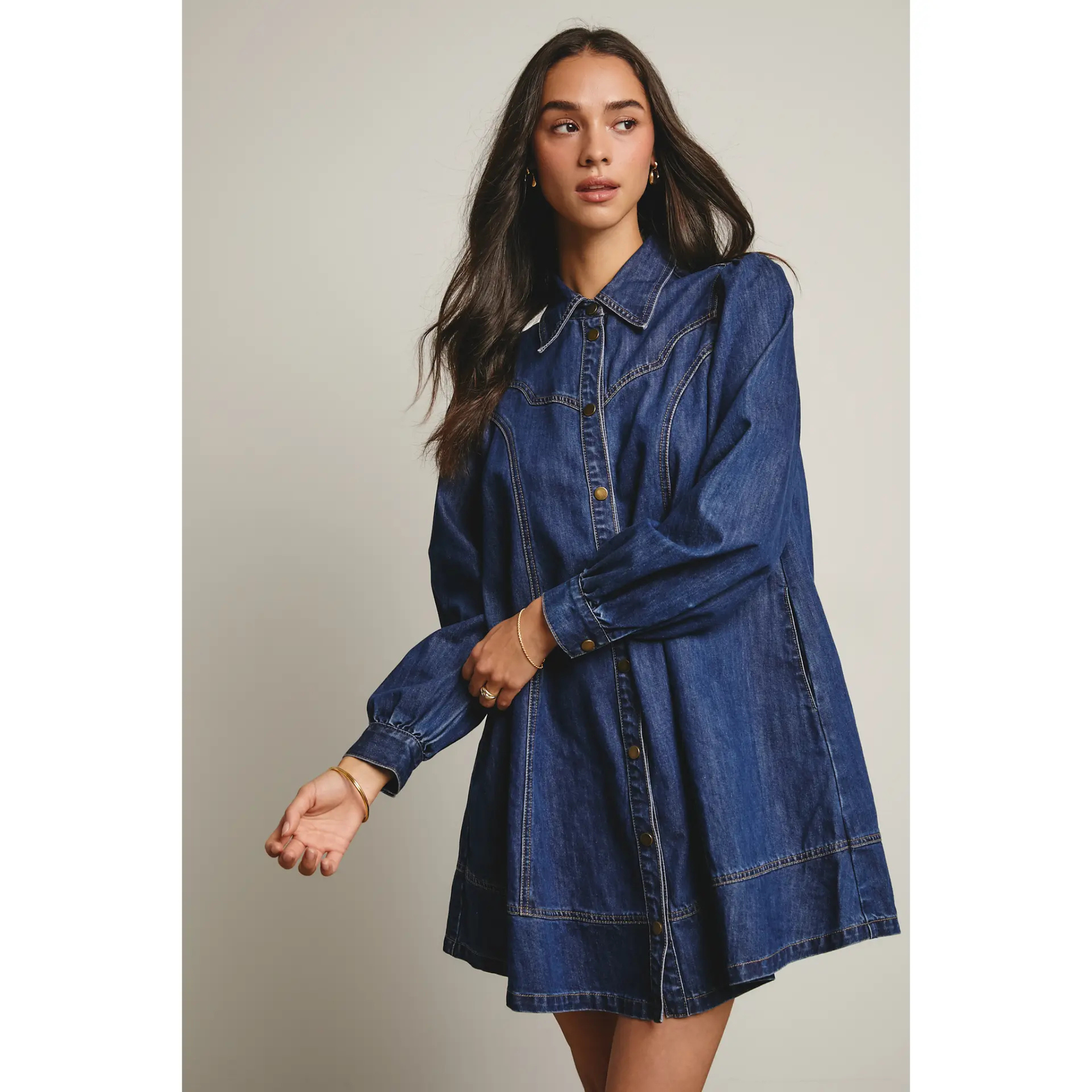 Denim Button Down Flare Dress