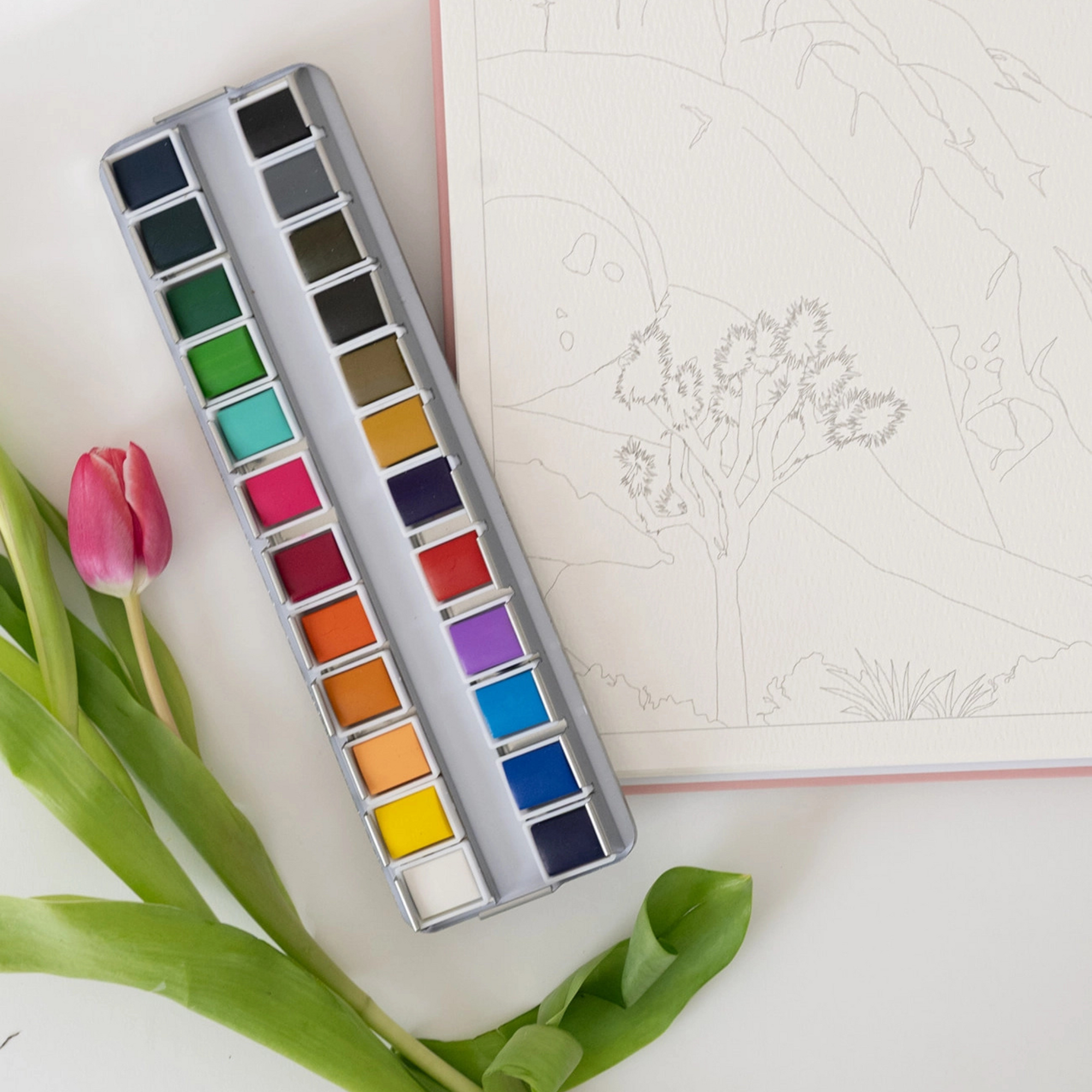Watercolor Paint Palette
