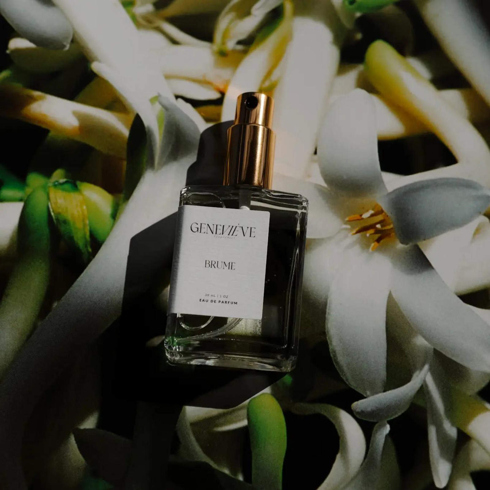 Brume Eau De Parfum | Sandalwood Jasmine