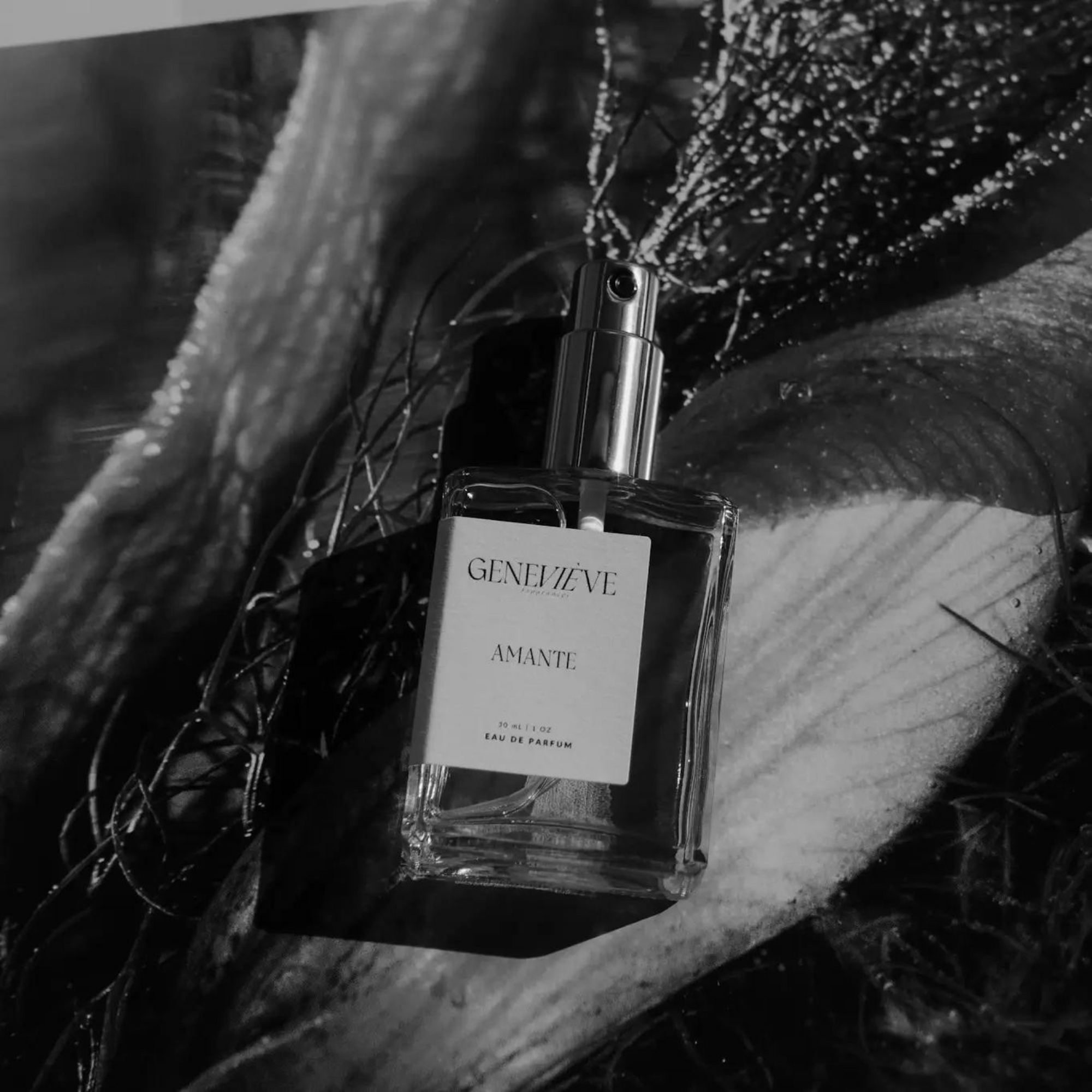 Amante Eau de Parfum | Lavender Ylang