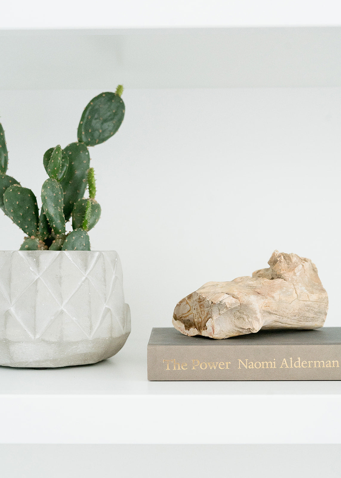 Decor that is simple and to the point. Find transitional decor pieces that are worth the investment at Curio Collective.