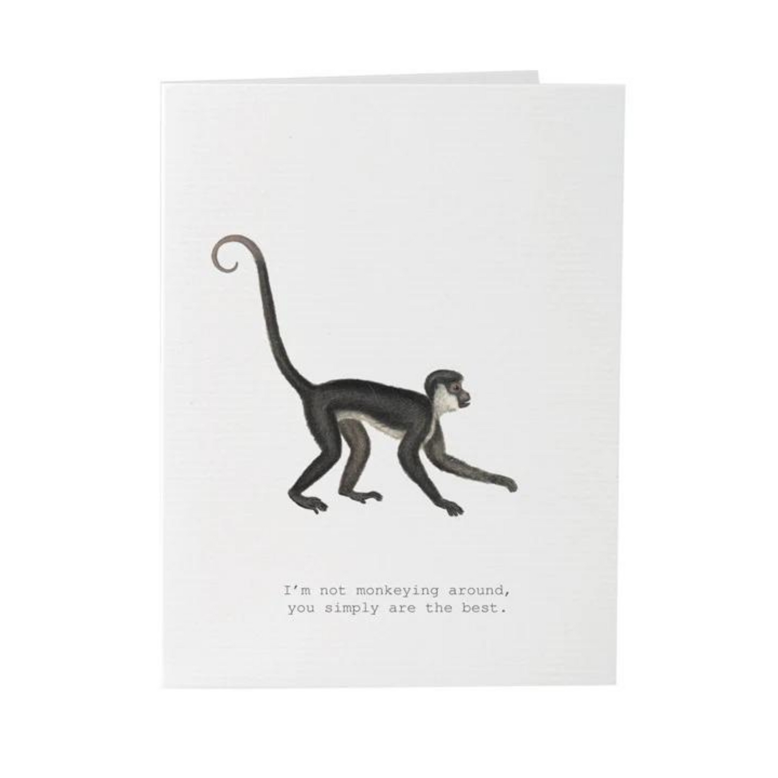 Monkeying Around Greeting Card