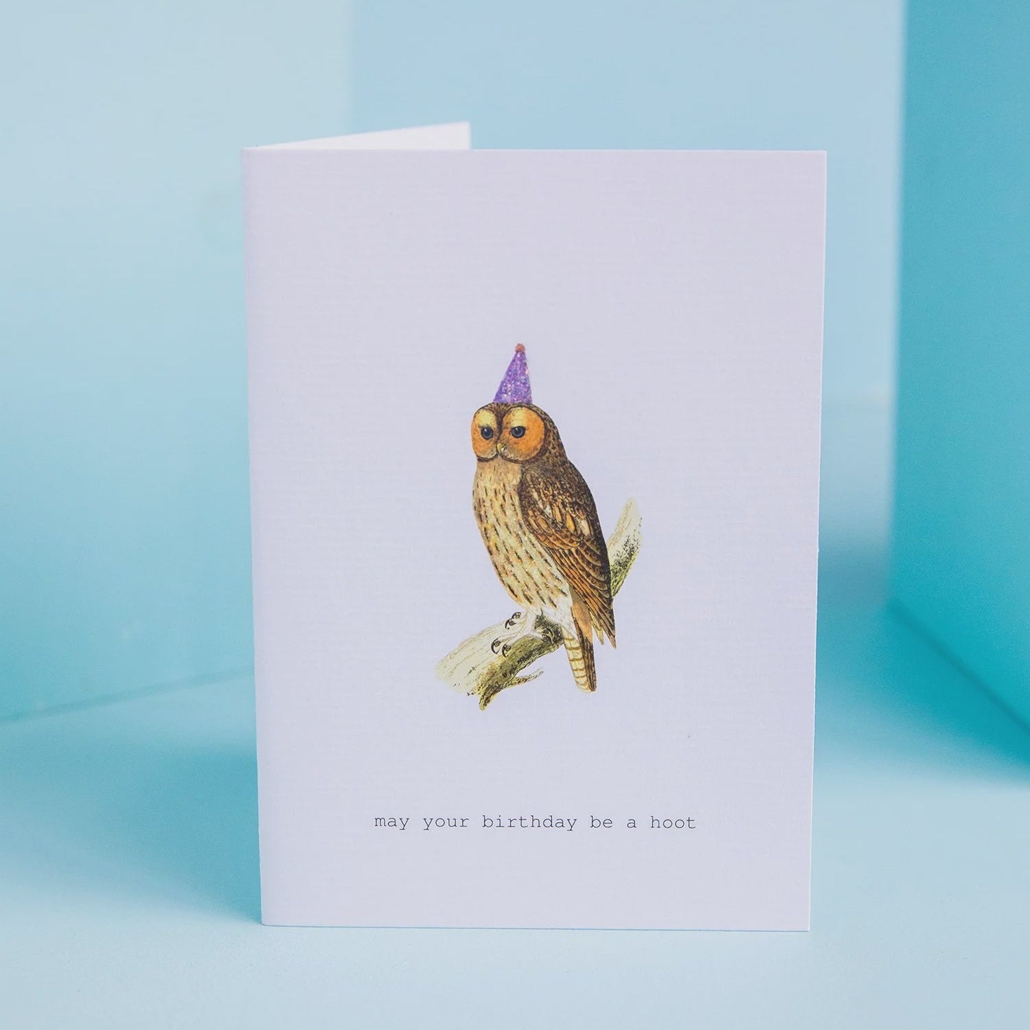 Birthday Hoot Greeting Card