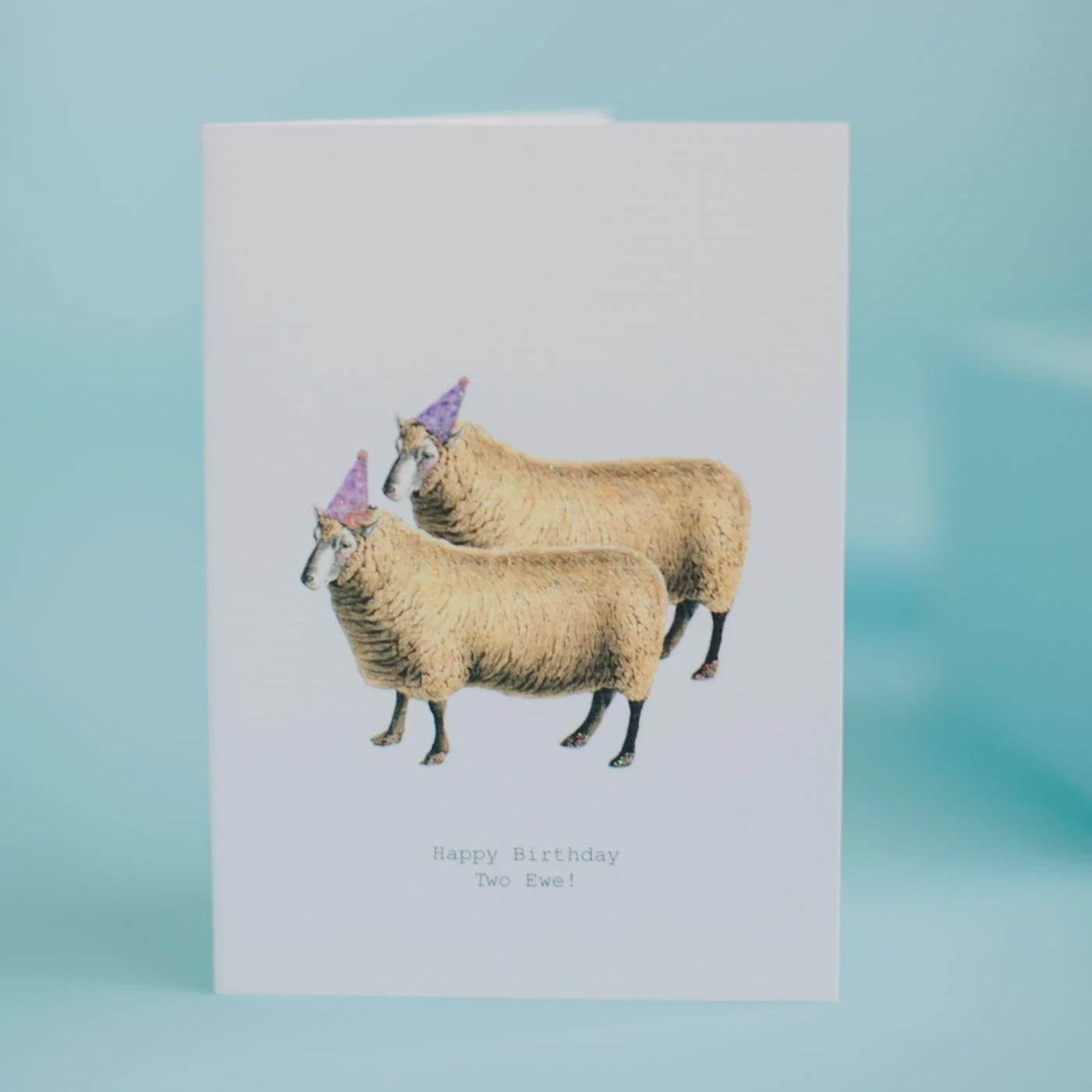 HAPPY BIRTHDAY TWO EWE GREETING CARD