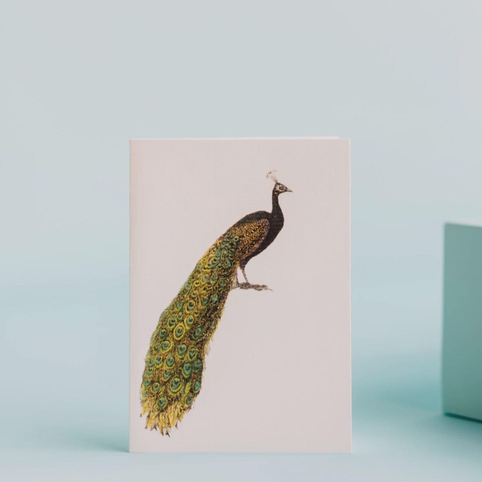 Peacock Blank Greeting Card