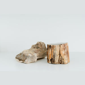 Petrified Wood Mini Log