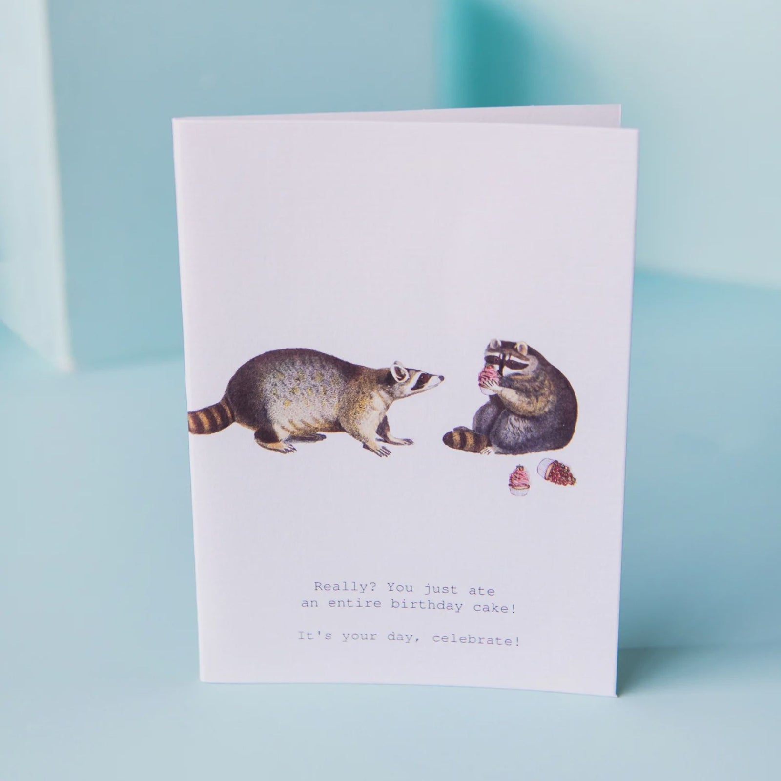 RACCOONS YOUR DAY GREETING CARD