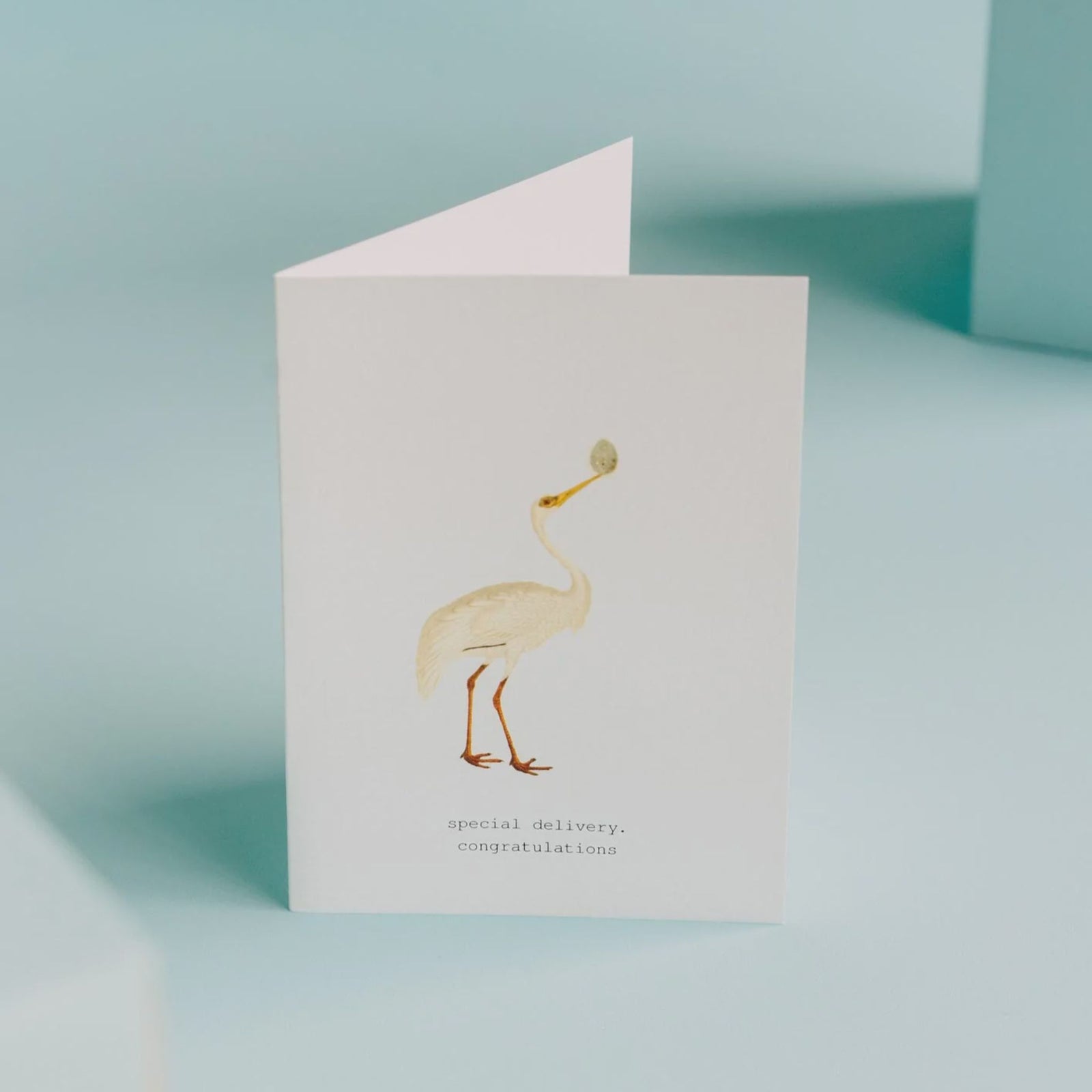 SPECIAL DELIVERY GREETING CARD