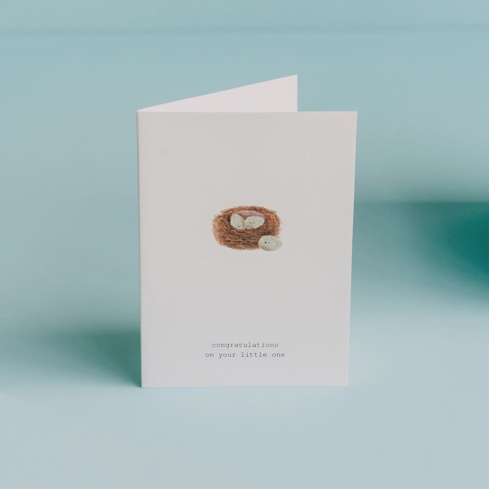 Congratulations on the Little One Greeting Card